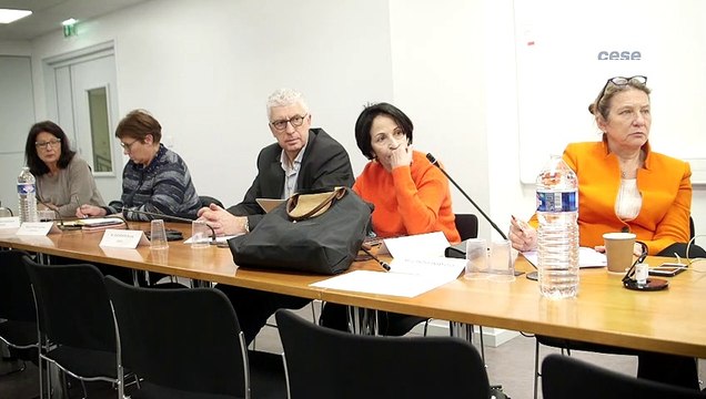 Questions à Françoise MILEWSKI (OFCE) - Egalité femmes hommes - cese