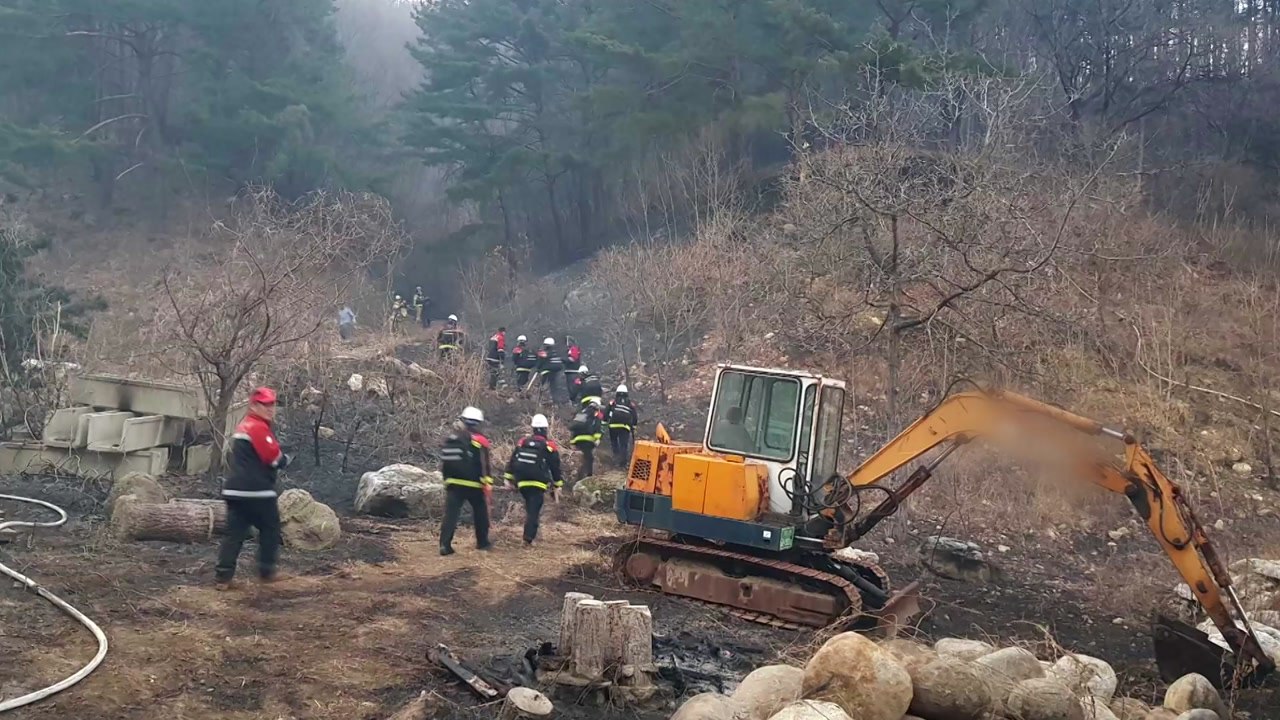 동해 산불 진화...산림 5천㎡ 소실 / YTN