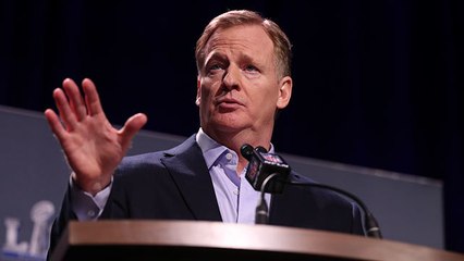 Goodell addresses controversial no-call in NFC Championship Game
