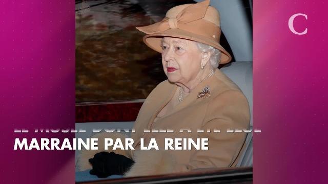 Rafael Nadal bientôt marié, Meghan Markle ose le look monochrome pastel : toute l'actu du 30 janvier