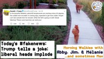 Today's #fakenews: Trump tweets a joke; liberal heads explode -Walkies with Abby