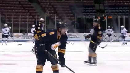 ECHL Norfolk Admirals 0 at South Carolina Stingrays 0