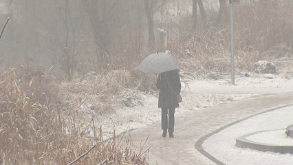 [날씨] 남부 대설주의보, 장수 9cm 기록... 오후까지 많은 눈 / YTN
