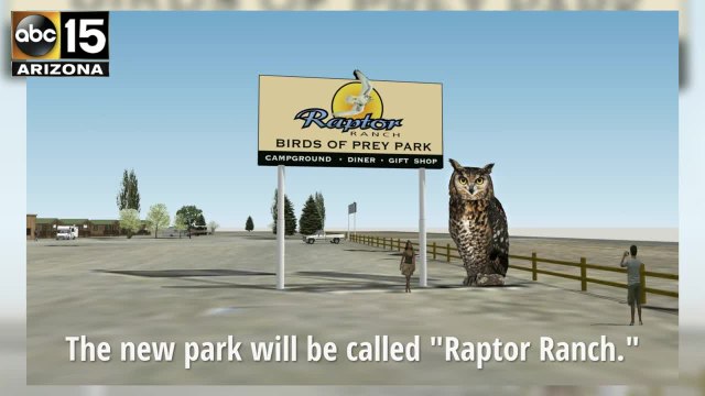 First look at Raptor Ranch, the birds-of-prey attraction planned in Northern Arizona - ABC15 Things To Do