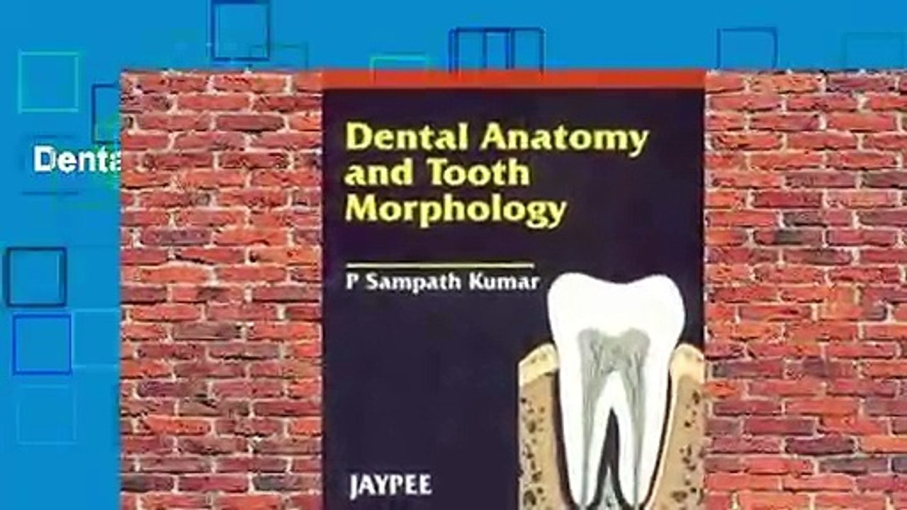 Dental Anatomy and Tooth Morphology