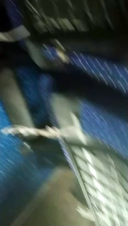 Nandankanan Zoological Park(Odia: ନନ୍ଦନକାନନ ଜୀବ ଉଦ୍ୟାନ) is a 400-hectare (990-acre) zoo and botanical garden in Bhubaneswar, Odisha, India. Established in 1960, it was opened to the public in 1979 and became the first zoo in India to join World Associatio