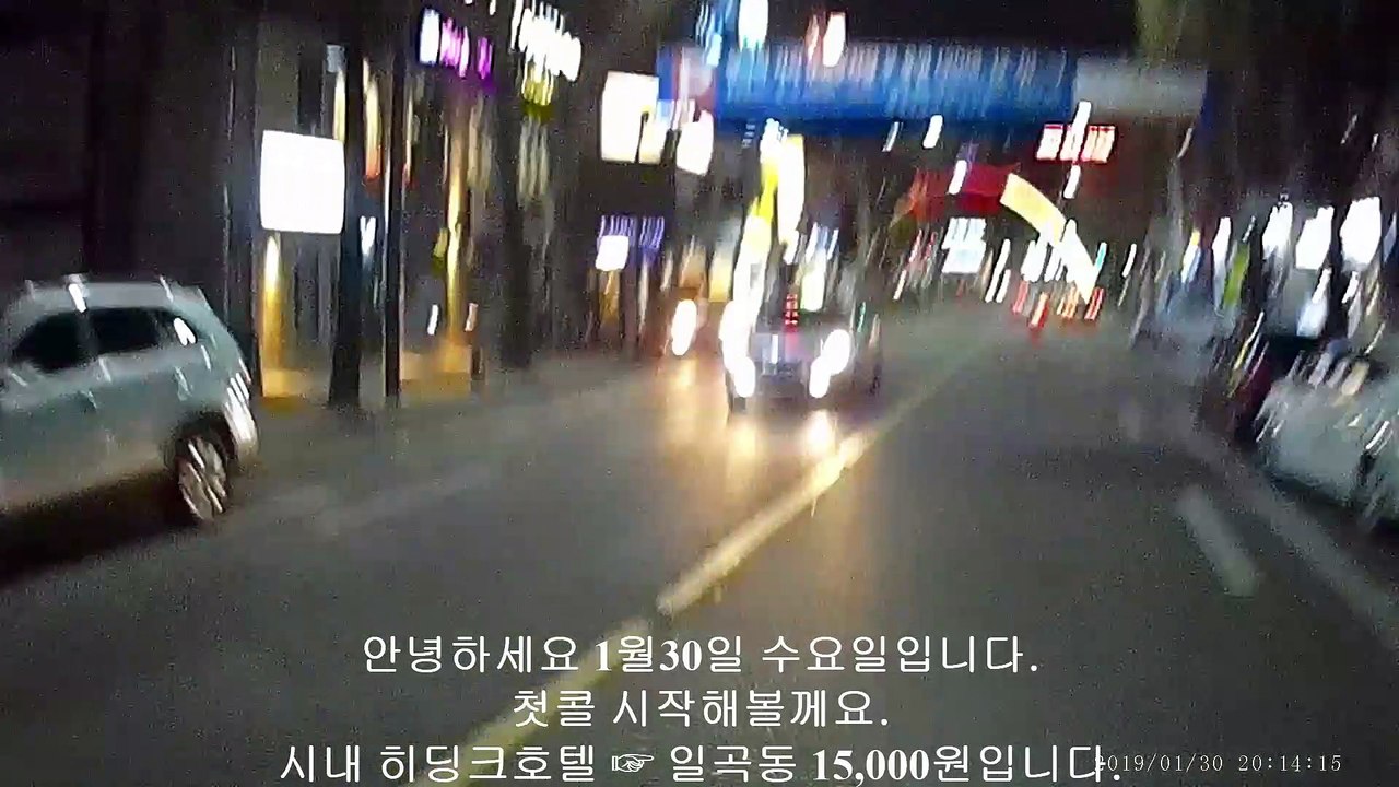 190130 대리 운전