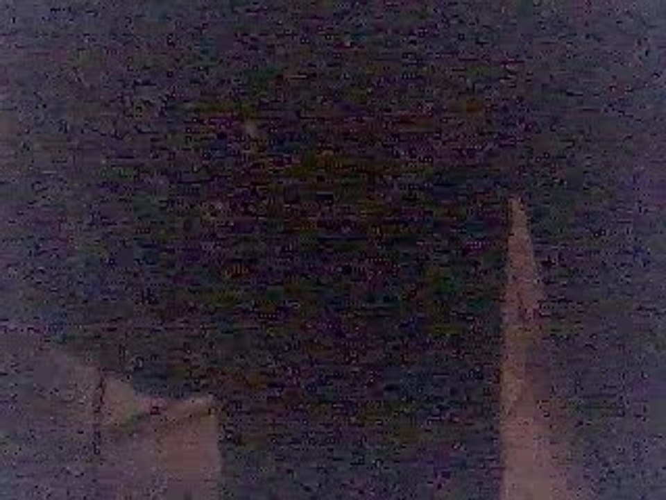 Muse - Supermassive Black Hole Bass Cover