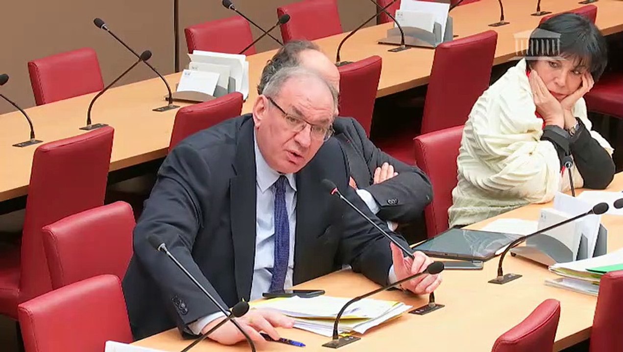 Délégation aux collectivités territoriales et à la décentralisation : M. Philippe WAHL, Président-Directeur général du Groupe La Poste - Mercredi 30 janvier 2019