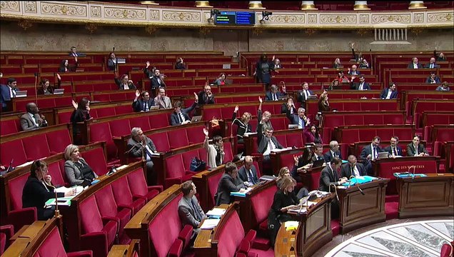 2ème séance : Prévention et sanction des violences lors des manifestations (suite) - Mercredi 30 janvier 2019