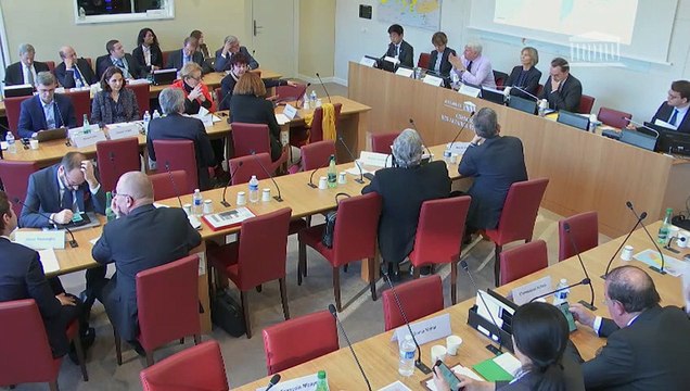 Commission des affaires étrangères : Compte rendu de la mission au Liban, du 25 au 28 octobre 2018 - Mercredi 30 janvier 2019