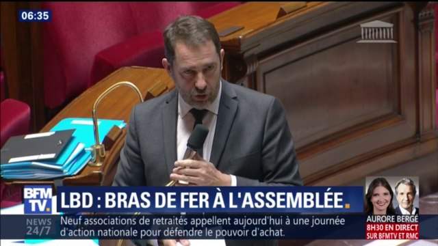 À l'Assemblée, un député insoumis liste les blessés par LBD, Castaner lui répond