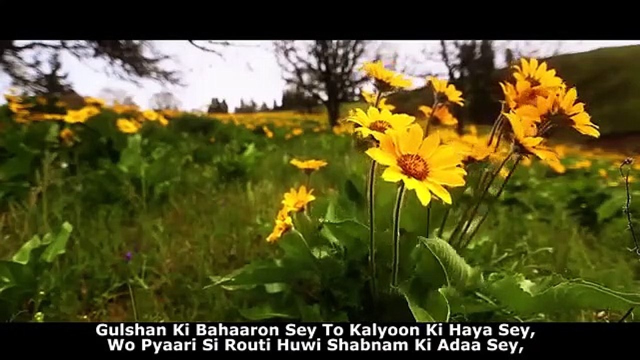 Aye Rabb e Do Jahan  Studio  New Hamd  Allah Hoo  Ya Rab  Allama Hafiz Bilal Qadri  2018