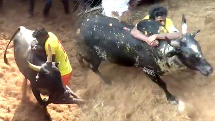 ஸ்ரீவில்லிபுத்தூர் அருகே விறுவிறு ஜல்லிக்கட்டு- வீடியோ