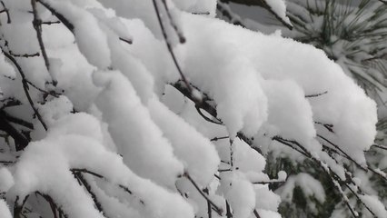 1월의 마지막 날 '이렇게 반가운 눈이!' / YTN