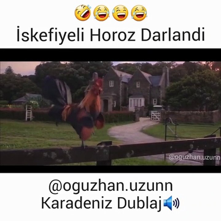 iskefiyeli Horoz Darlandi Karadeniz Dublaj