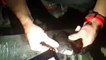 Datça'ta Zifte Bulanmış Deniz Kaplumbağası Tedavi Edilecek - Muğla