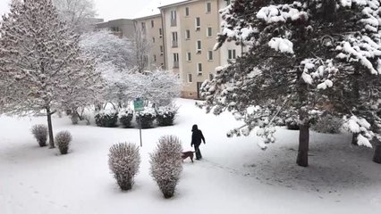 Almanya'da Yoğun Kar Yağışı Hayatı Olumsuz Etkiledi