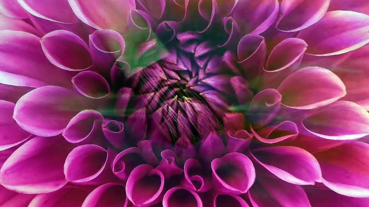 İsbat-Proof-Beweis-Evidencia {MEDRECiTY}