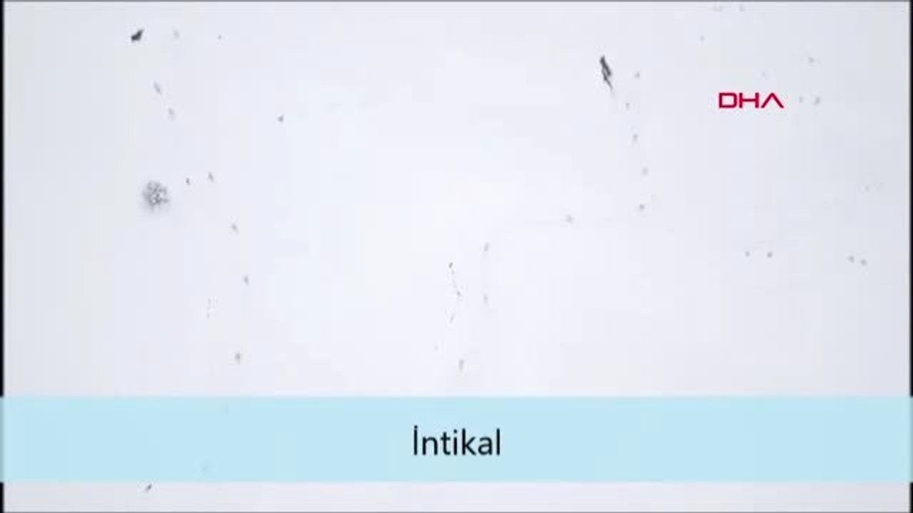 Mehmetçik, Metrelerce Karda ve Dondurucu Soğukta Zirvede