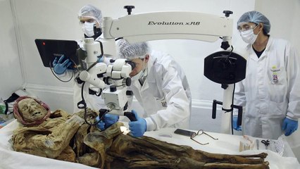 Múmia equatoriana pode ajudar a desvendar doença
