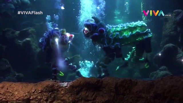 Wah! Ada Barongsai Dibawah Laut Ancol!