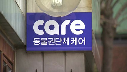 경찰, '안락사 논란' 케어 사무실 압수수색 / YTN