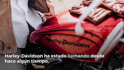 Las tarifas comerciales de Trump están perjudicando las ganancias de Harley-Davidson