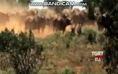 bandicam 2019-01-31 16-43-18-314