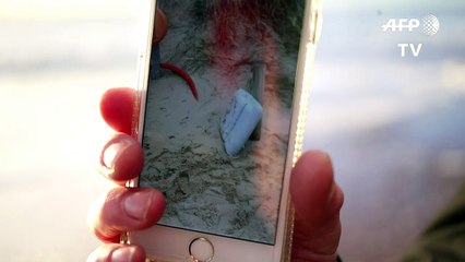 Plage du Cotentin: des débris "probablement" de l'avion de Sala