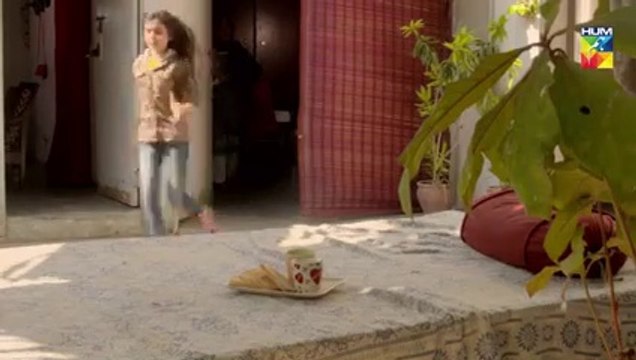 Aik Larki Aam Si Epi 158 HUM TV Drama 31 January 2019