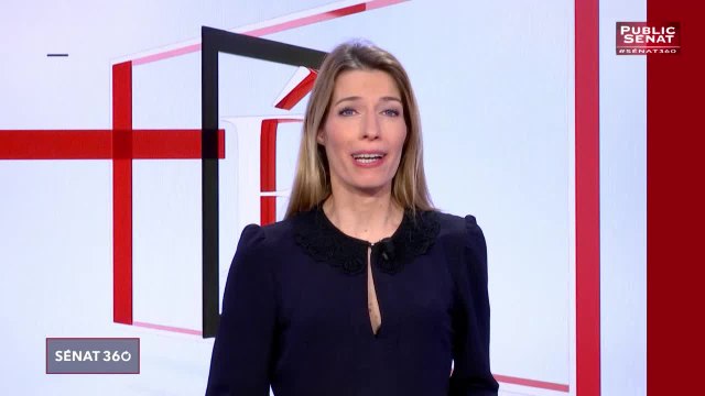 Le rendez-vous de l'information sénatoriale. - Sénat 360, 100% Questions d'actualité au Gouvernement (31/01/2019)