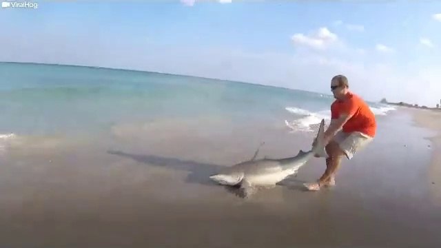 Real Life Heroes Rescue Sea Animals - Animal videos 2019