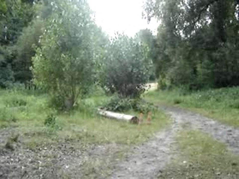 enchainemen du cross