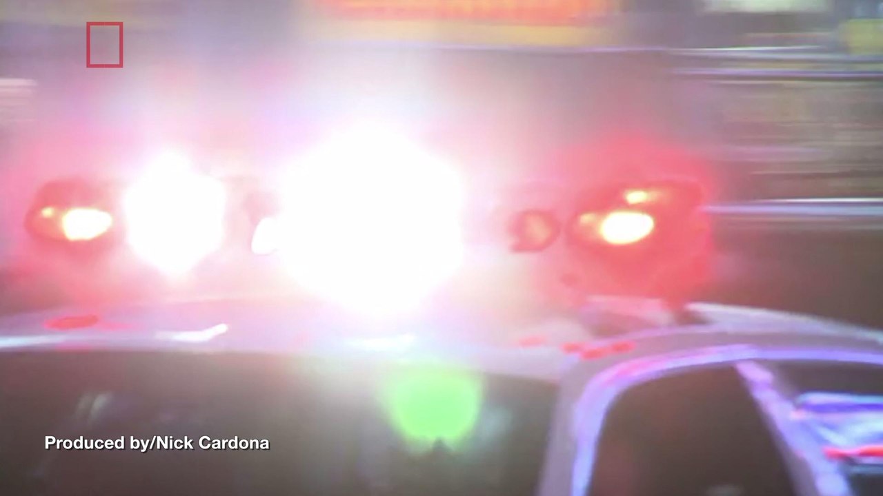 Naked Man Arrested After He Bit His Dog, an FBI Agent and Pushed a Woman To The Ground: Police