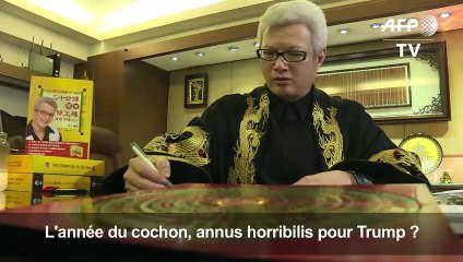 Année du cochon: les prédictions de maîtres feng shui pour Trump