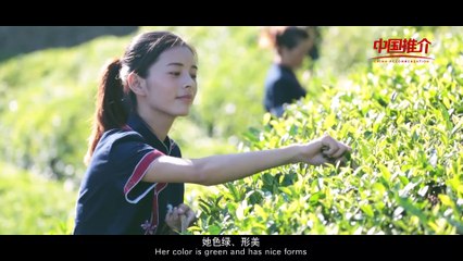 China-Recommendation——Baokang green tea