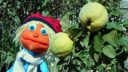 TOTO Y EL OTOÑO. Aprende con TOTO. Capítulo 3.