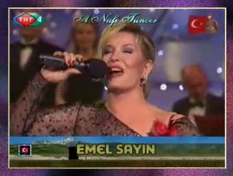 Emel SAYIN - Esmerim Biçim Biçim