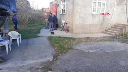Ordu Köpeğin Saldırısına Uğrayan Çocuk Yaralandı