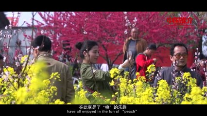 China-Recommendation——Qujialing yellow peach