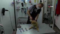 Sakarya'da İlk Kez Açılan ve Çevre İllerin İhtiyacını Karşılayacak Olan Pet Kuaförü Hizmete Vermeye...