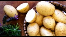 Çıtır Çıtır Patates Kızartması Yapıp Bayılarak Yemenizi Sağlayacak 12 Mucize Bilgi