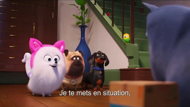 Comme Des Bêtes 2 Bande-annonce Chatitude VOST (2019) Philippe Lacheau, Patton Oswalt