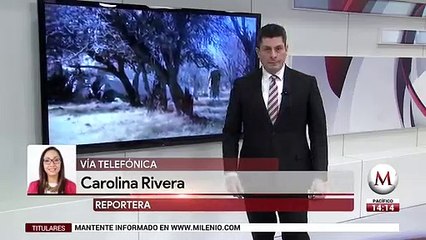 Suman 75 organizaciones que buscan crear un partido politico