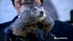The history and origins of Groundhog Day