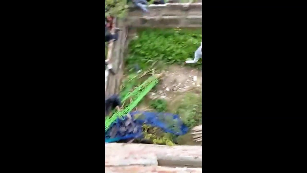 wild video | cheetah attacked residents of Jala...