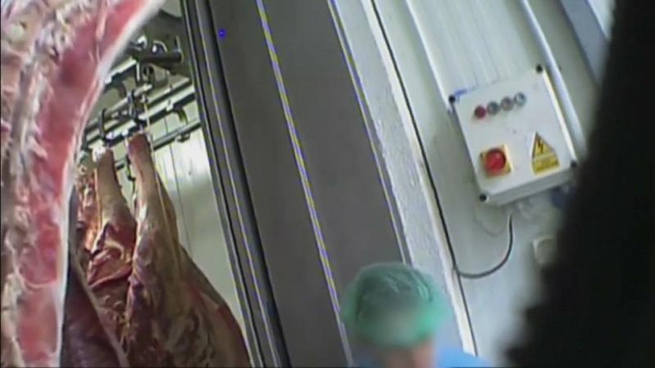 10 Tonnen vergammeltes Rindfleisch aus Polen - 800 Kilo in Frankreich