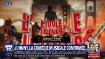 Johnny Hallyday: la comédie musicale est confirmée