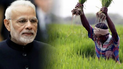Union Budget 2019 : ರೈತರಿಗೆ ಬಂಪರ್ ಕೊಡುಗೆ ಕೊಟ್ಟ ಮೋದಿ ಸರ್ಕಾರ
